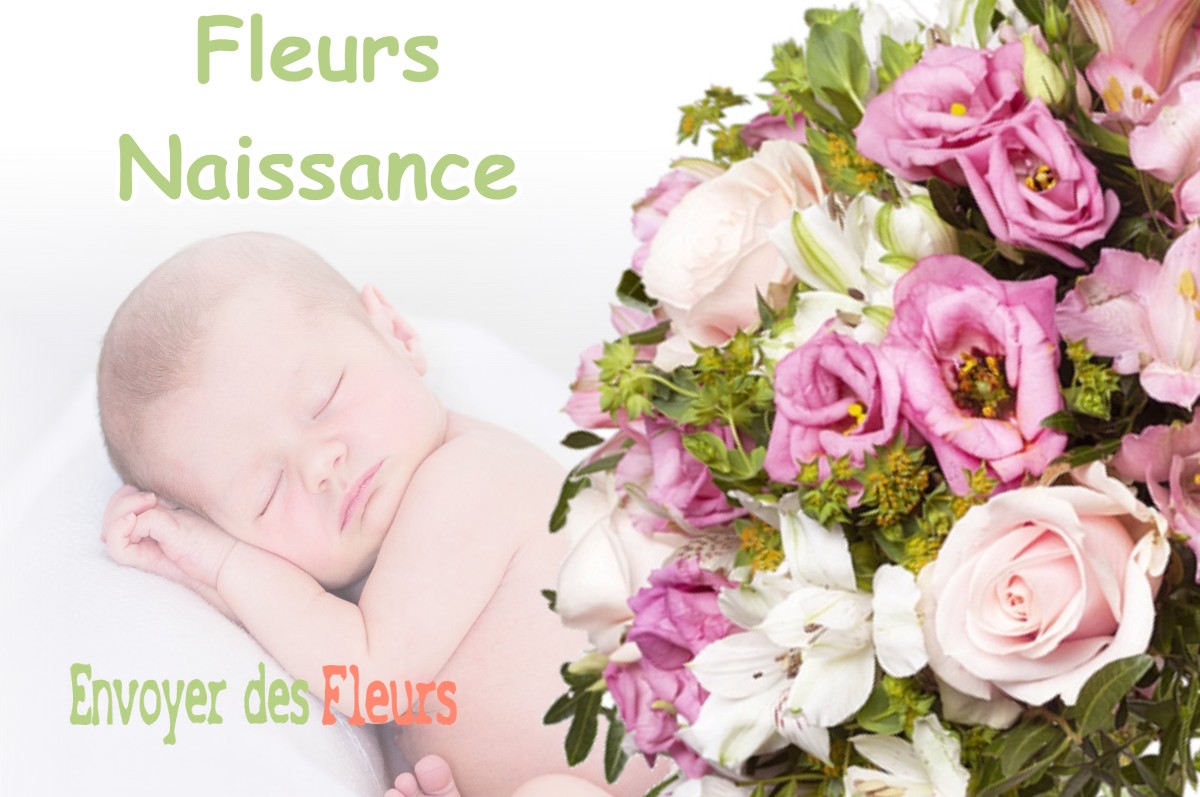 lIVRAISON FLEURS NAISSANCE à LOUVENNE